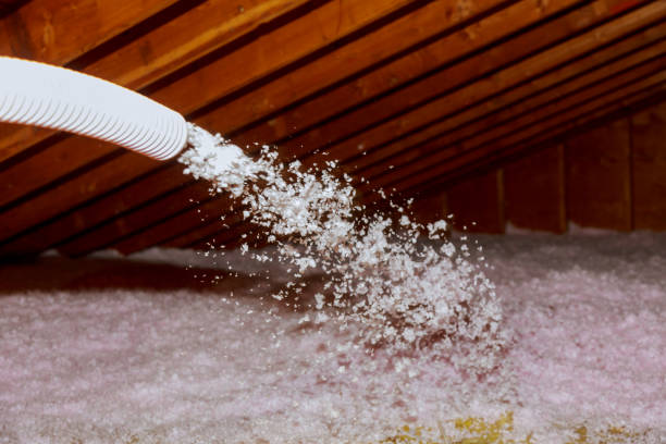 Trusted Cottondale, AL Insulation Contractor Experts