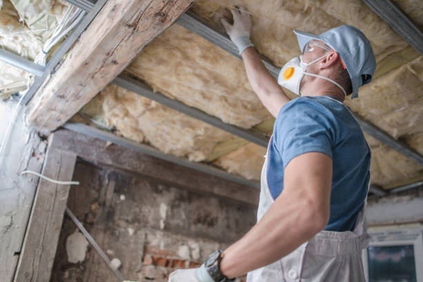Best Cellulose Insulation in Cottonde, AL